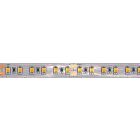 BRILUX GMBH SRL - BRIB19-ST1124830 FLEX LED BRILUX IP20 11W 120LED/M RA<85