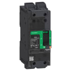 SCHNEIDER ELECTRIC - SNRBGL26015LU INTERR.AUTOM.PPB 2P 15A 35KA EVERL