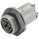 WIELAND ELECTRIC SRL - WIE96.031.5054.3 FEMALE CONNECTORRST25I3S B1 M01 BG03