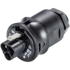 WIELAND ELECTRIC SRL - WIE96.032.6153.1 MALE CONNECTORRST20I3S S1 M03V SW