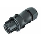 WIELAND ELECTRIC SRL - WIE96.021.0053.1 FEM.C.W.STR-REL.RST20I2F B23ZR1 SW