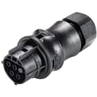 WIELAND ELECTRIC SRL - WIE96.041.4053.1 FEM.C.W.STR-REL.RST20I4S B1 ZR1 SW