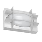 PERFORMANCE IN LIGHT - PRI3113247 BLIZ OVAL 21 S/EW 830 WH87