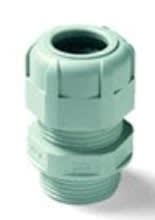 BM SPA - BMM4011 PRESS NYLON IP68 PG11 RAL7035