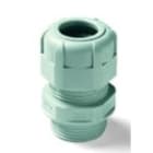 BM SPA - BMM4029 PRESS NYLON IP68 PG29 RAL7035