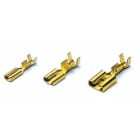 BM SPA - BMM02396 LAM ST FEM 1,25 2,8X05 BOB