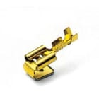 BM SPA - BMM01299 TERM ST M+F 2,5 6,3X08