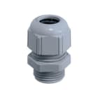 BM SPA - BMM4342 PRESS NYLON IP68 PG42 RAL7001