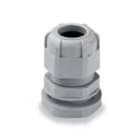 BM SPA - BMM4736 PRESS NY IP68 CON DADO PG 36