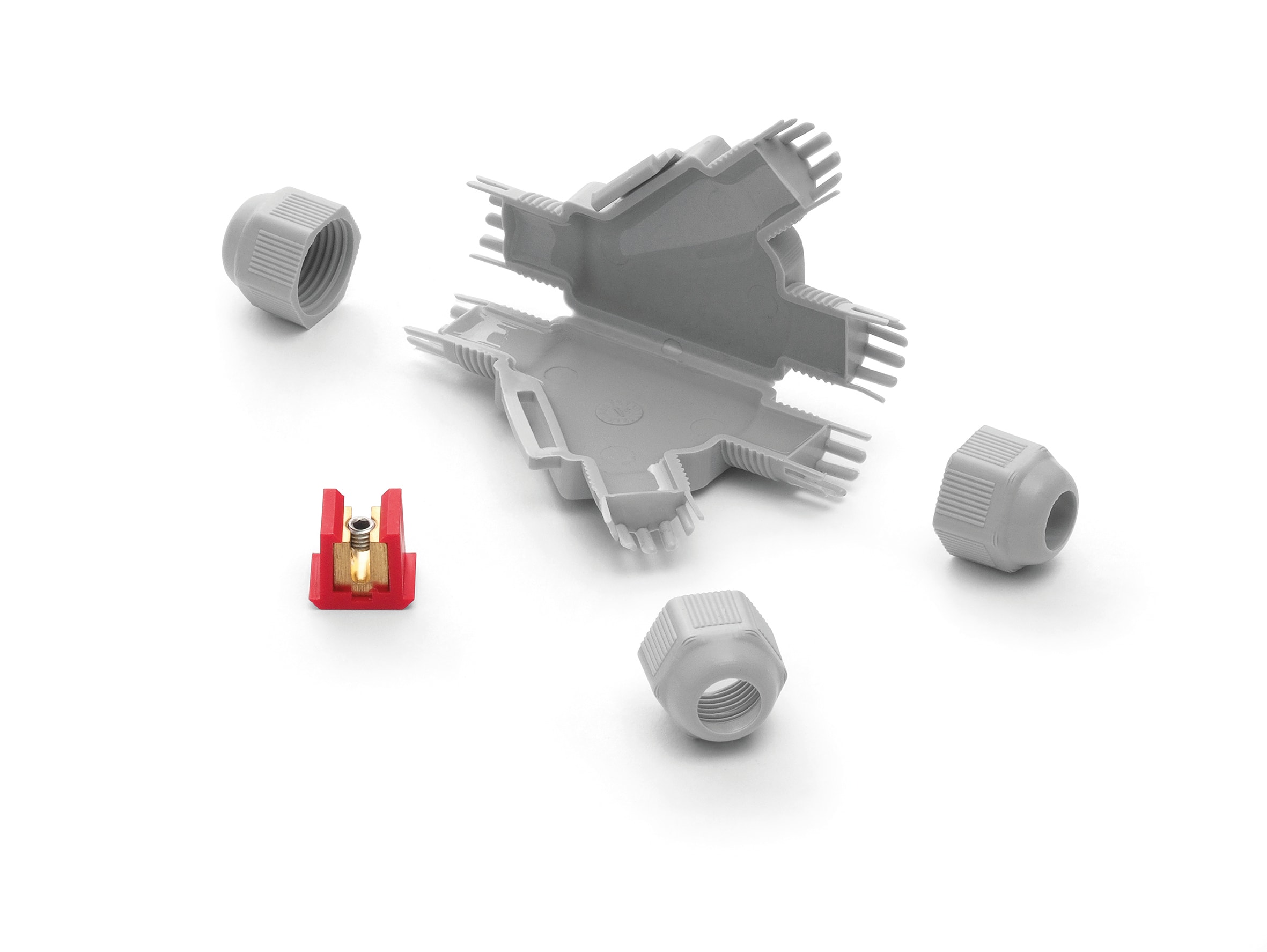 RAYTECH SRL - RYTBARNEY-Y BARNEY Y GIUNTO GEL DERIV + MORS (CF 1 P