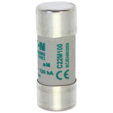 EATON - EAOC22M100 C22M100 22X58, AM, 100A, 690VAC