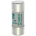 EATON - EAOC22M100 C22M100 22X58, AM, 100A, 690VAC