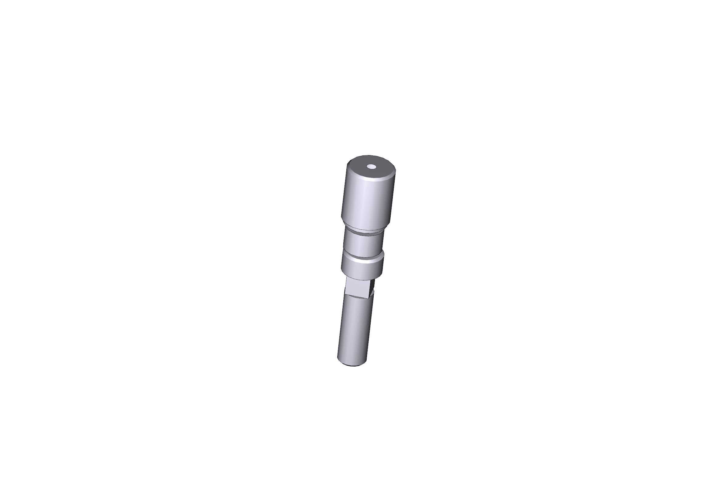 CAME SRL - CMC119RIG077 PERNO FERMO MECCANICO GARD 2,5-5-6-6,5M
