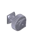 CAME SRL - CMC119RIG153 GRUPPO PRIMA RIDUZIONE G2081
