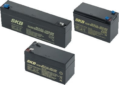 CAME SRL - CMC846XG-0020 BB020 ACCUMULATORE SIGILLATO