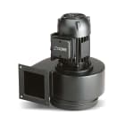 EP (O.ERRE) - OER0041600 CB 240 2M