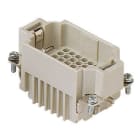 ILME - ILMCDDM 42 FRUTTO SPINA 42 POLI