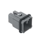 ILME - ILMCDM 07 FRUTTO SPINA 7 POLI