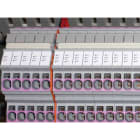 CEMBRE SPA - CEM43091-HF STRIS.MG-CPMF BIANCHE X MOR.ENTRELEC H.F