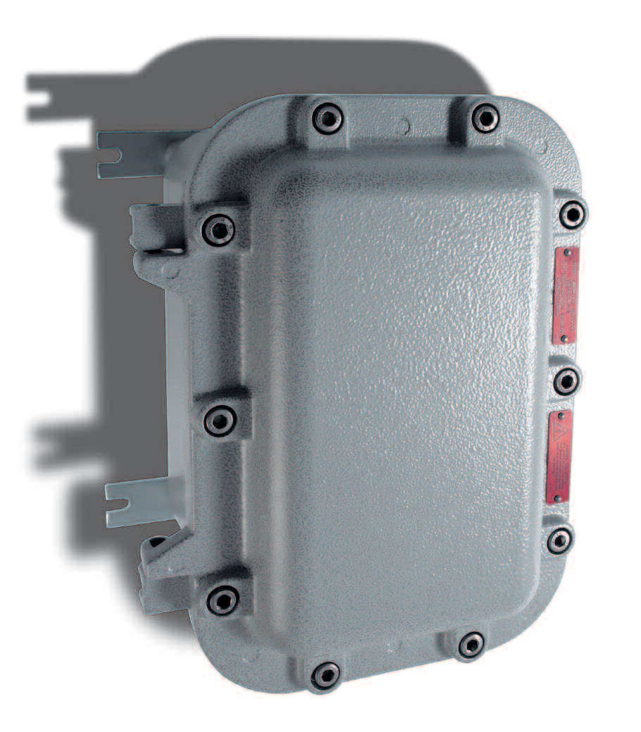 CORTEM SPA - COREJB-3A CUSTODIA EX II 2GD EX D IIB+H2