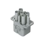 ILME - ILMCQF 04/2 FRUTTO PRESA 04/2