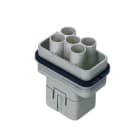 ILME - ILMCQM 04/2 FRUTTO SPINA 04/2