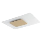 ROSSINI - RSSCRY002OS APPLIQUE/PLAFONIERA ORO SATINATO LED 24W