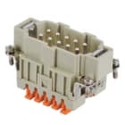 ILME - ILMCSHM 10 FR.SPINA 10 POLI SQUICH