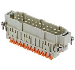 ILME - ILMCSHM 24 FR.SPINA 24 POLI SQUICH