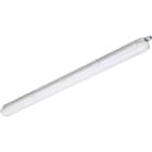 SIGNIFY ITALY SPA - PHA34979499 CoreLine Stagna, 28.6 W, L1200 mm, 3700 lm, 4000 K, Fascio extra largo, Opale, IP65, IK08, TW1-ready