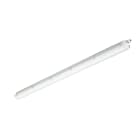 SIGNIFY ITALY SPA - PHA36934199 CoreLine Stagna, 24.5 W, L1500 mm, 3400 lm, 6500 K, Fascio largo, Opaca, IP65, IK08, TW1-ready