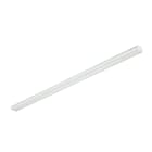 SIGNIFY ITALY SPA - PHA61800800 CoreLine Trunking gen2, Basic (stand alone) version, 51 W, L1700 mm, 8000 lm, 4000 K, Fascio largo, Smerigliata, Bianco, IP20