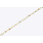 DIGIMAX SRL - DIXC8123340-25 STRIP 12W 24V 160LED 4000K CRI80 IP20 25