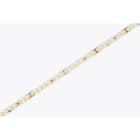 DIGIMAX SRL - DIXC8123330-25 STRIP 12W 24V 160LED 3000K CRI80 IP20 25