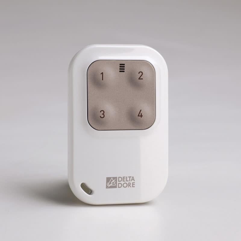 DELTA DORE SRL - DDR6351389 TYXIA 1410 TELEC BD PCHIAVI 4 TASTI ON/O