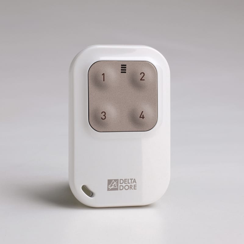 DELTA DORE SRL - DDR6351389 TYXIA 1410 TELEC BD PCHIAVI 4 TASTI ON/O