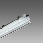 DISANO - DIS16246312 FORMA 999 FL 2X36 CEL-D INOX