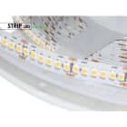 DESIGN LUCE - DLU98HO203920 LED HO 19,2W 24V NW 240 LED IP20 5M