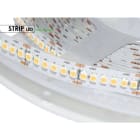 DESIGN LUCE - DLU9824243220 LED 24W 24V 3K 120 LED IP20 5M