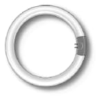 DURALAMP SPA - DRL2286T CIRCOLINA G10Q 22W 6500K TRIFOSFORO