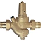 WATTS INDUSTRIES ITA - WAT0501115 DRV15 RIDUTT. PRESS. 1/2