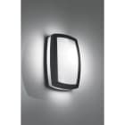 ROSSINI - RSS10017-AN APPLIQUE/PLAFONIERA ANTRACITE E27 IP54