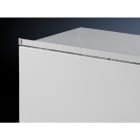 RITTAL SPA - RIT2427100 SZ LISTELLO ANTIPOLVERE L 1000 MM