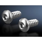 RITTAL SPA - RIT2486600 VITI TESTA BOMBATA CILINDR 5,5X13 300 PZ