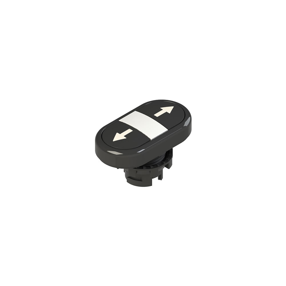 PIZZATO ELETTRICA - PZZE2 1PDRL1AAAB PULSANTE DOPPIO INFERIORE RASATO CON MAR