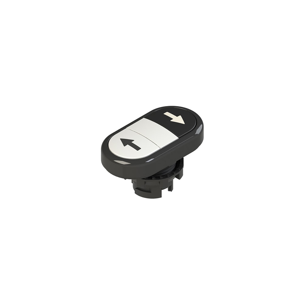 PIZZATO ELETTRICA - PZZE2 1PDRL1AABS PULSANTE DOPPIO INFERIORE RASATO CON MAR