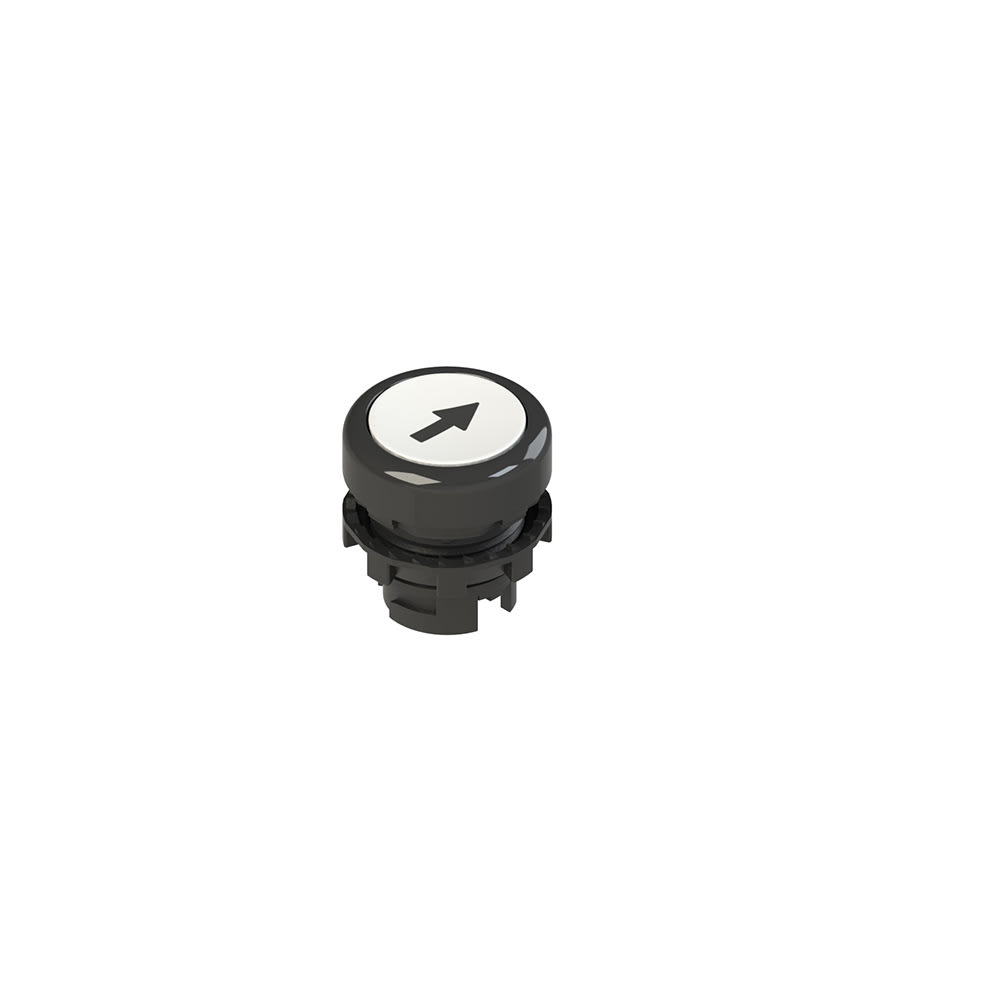 PIZZATO ELETTRICA - PZZE2 1PU2R221L7 PULSANTE AD IMPULSO RASATO BIANCO CON MA