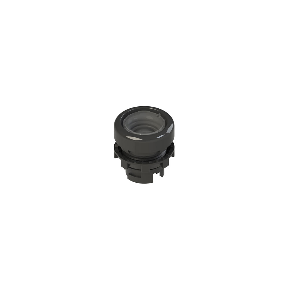 PIZZATO ELETTRICA - PZZE2 1PU2R0210 PULSANTE AD IMPULSO RASATO SENZA LENTE