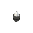 PIZZATO ELETTRICA - PZZE2 1SL12AVD21AB SELETTORE LUMINOSO A LEVA CORTA A DUE PO