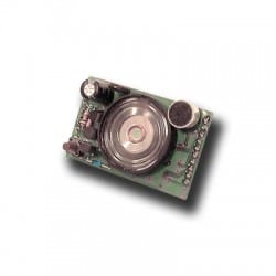 IESS SRL - EAAETRVOICE SINTESI VOCALE PER SERIE ETR